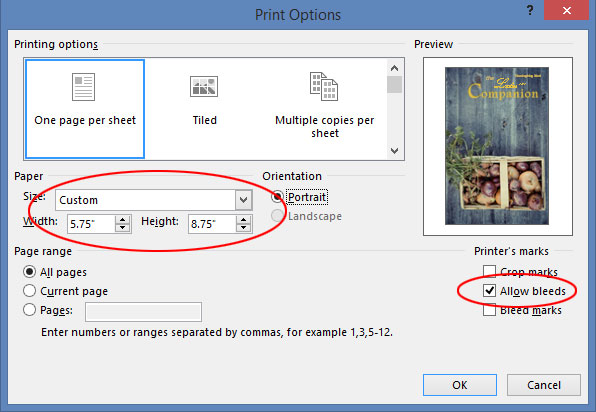 Publisher Bleed Settings