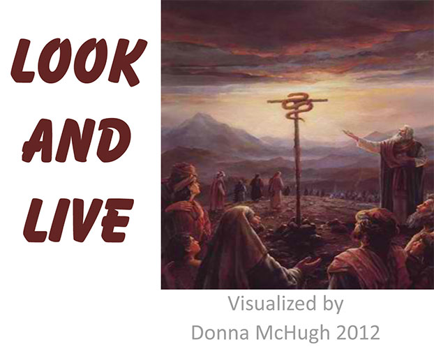 Look and Live Visualized by Donna McHugh