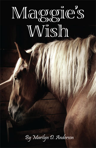 Maggie's Wish by Marilyn Anderson