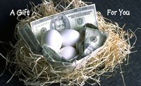 Money in Nest - Greeting Card